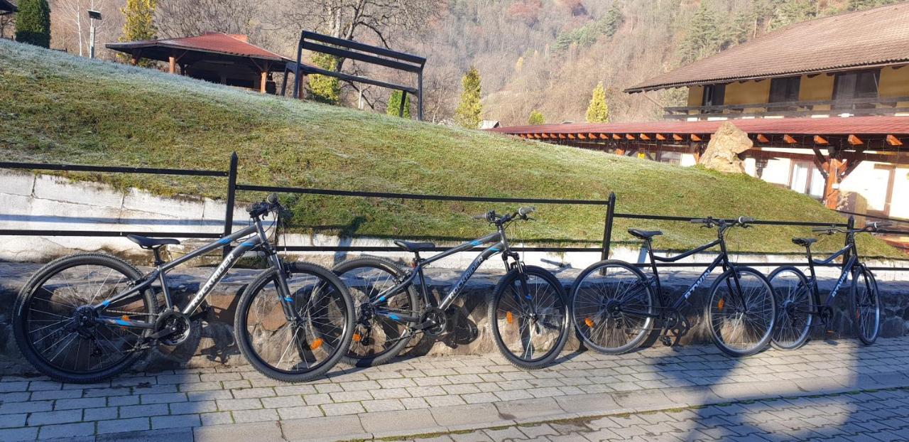 Pensiunea Rau Sadului Exterior foto